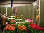 [Show Creil 2006_0205Image0022.JPG]